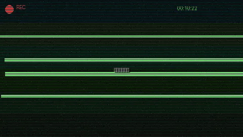 清晨公园散步 - 91大事件入口 精选视频